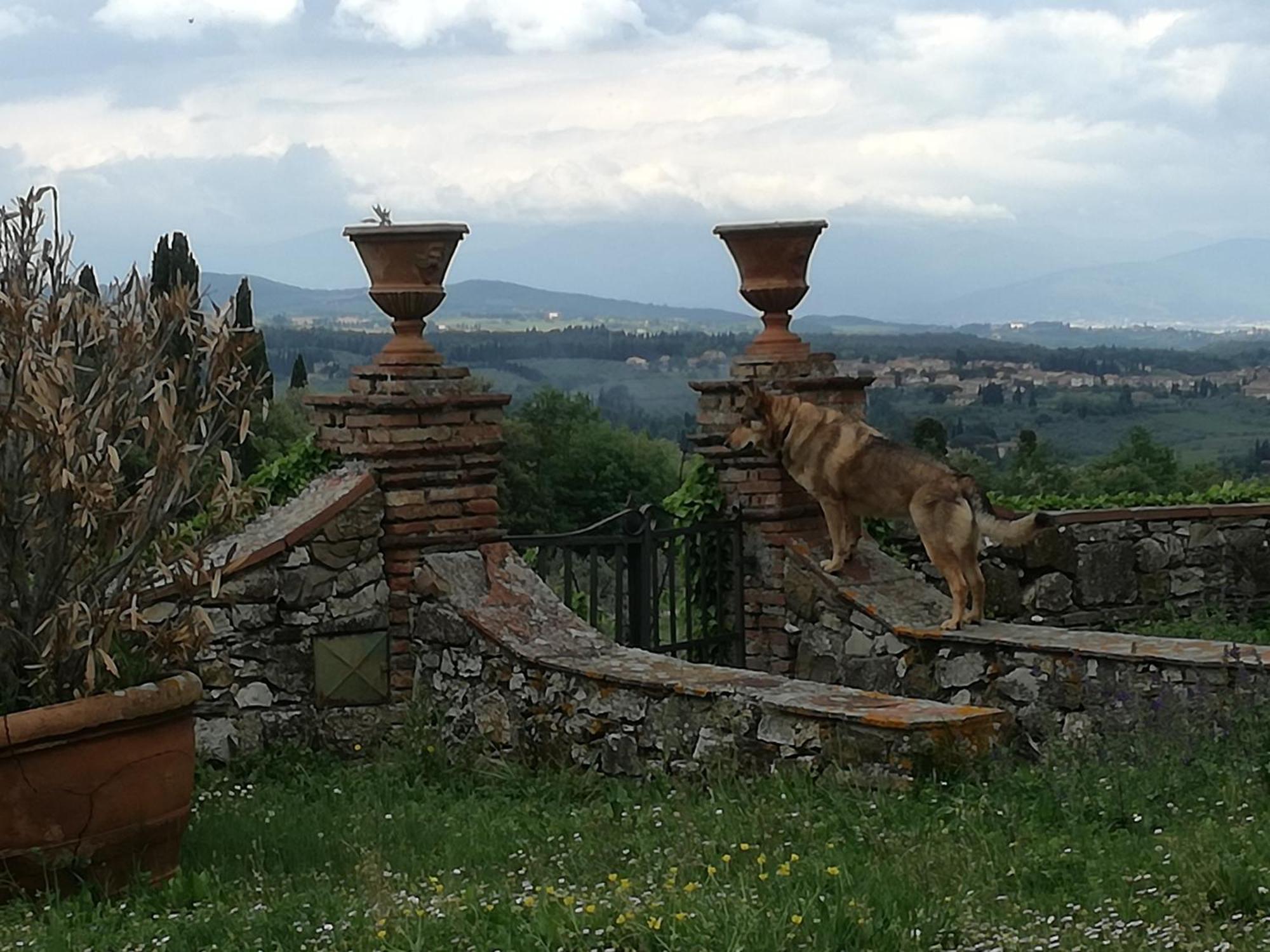 Agriturismo Podere La Cava Mercatale Val Di Pesa ภายนอก รูปภาพ