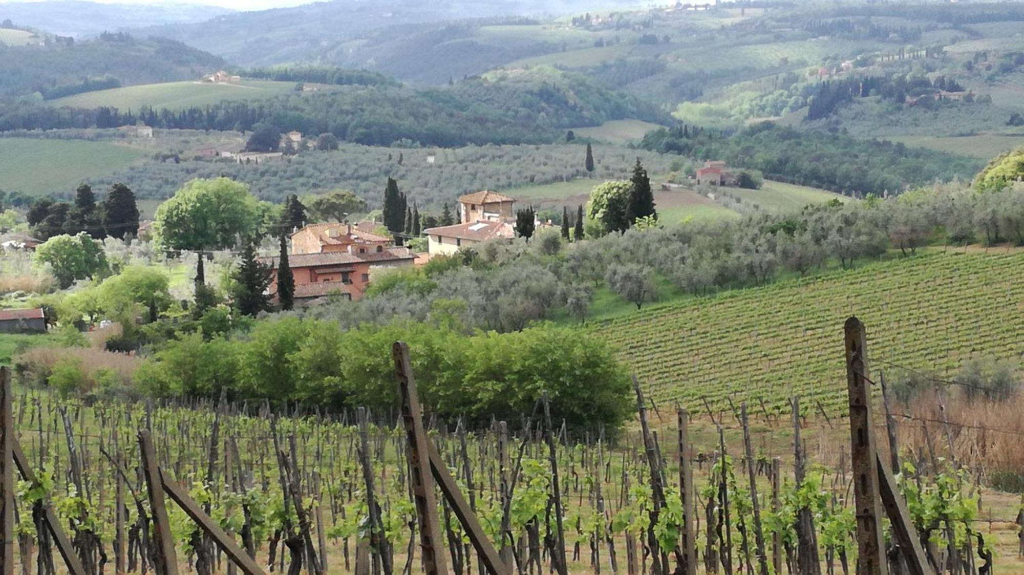 Agriturismo Podere La Cava Mercatale Val Di Pesa ภายนอก รูปภาพ