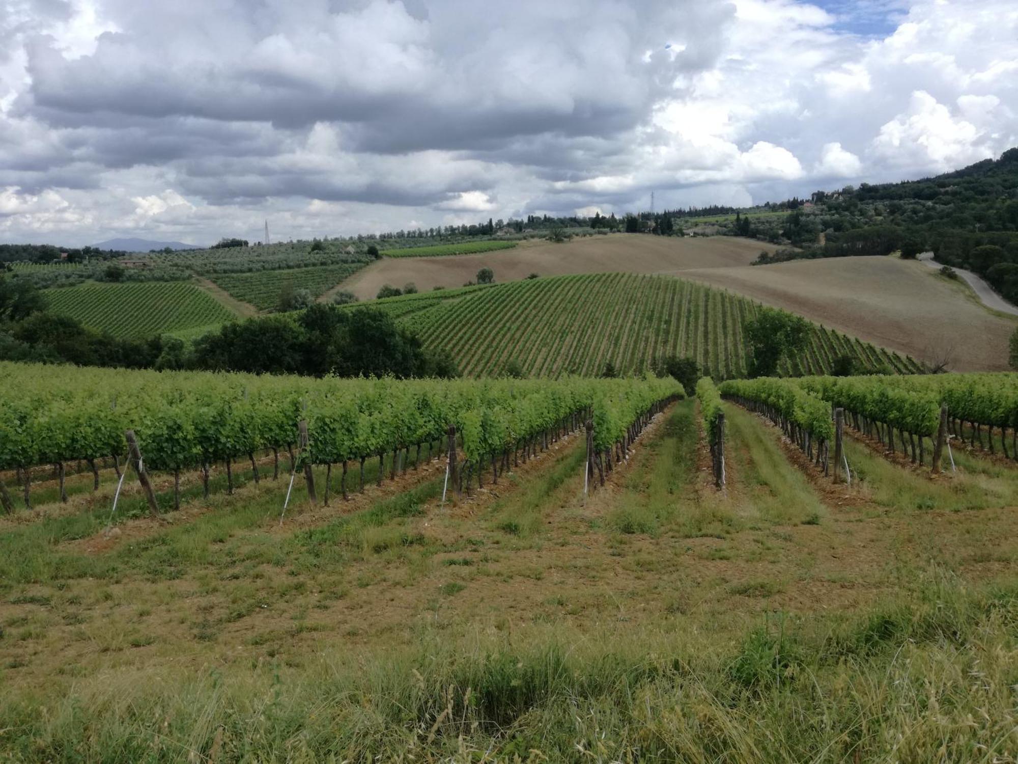 Agriturismo Podere La Cava Mercatale Val Di Pesa ภายนอก รูปภาพ